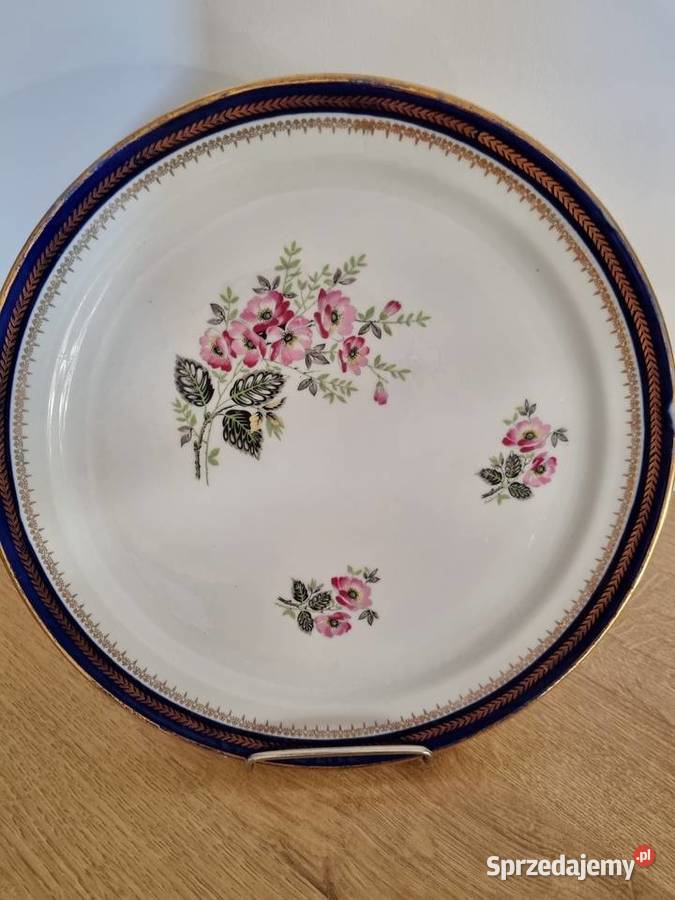 Talerz Wola Podłężna