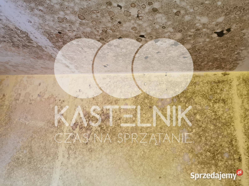 Odgrzybianie ścian BoguszówGorce Kastelnik