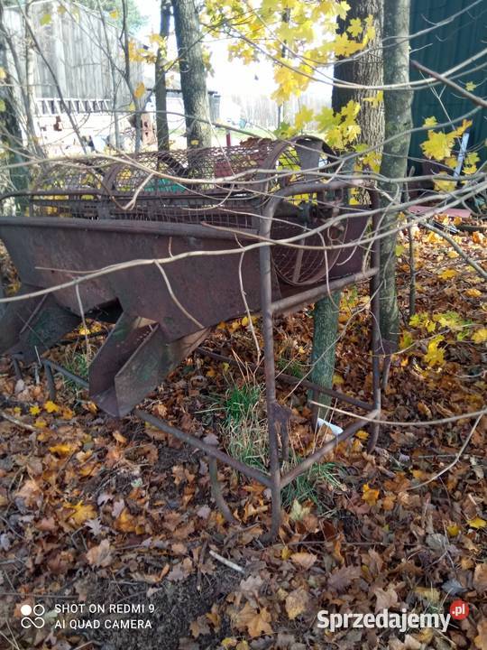 Sortownik do ziemniaków Sierakowice