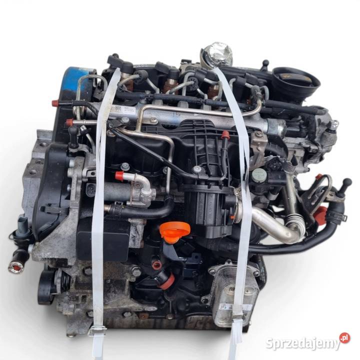 SILNIK BEZ OSPRZĘTU Audi A3 8V 16 TDI 105 ładnie Chełm sprzedam