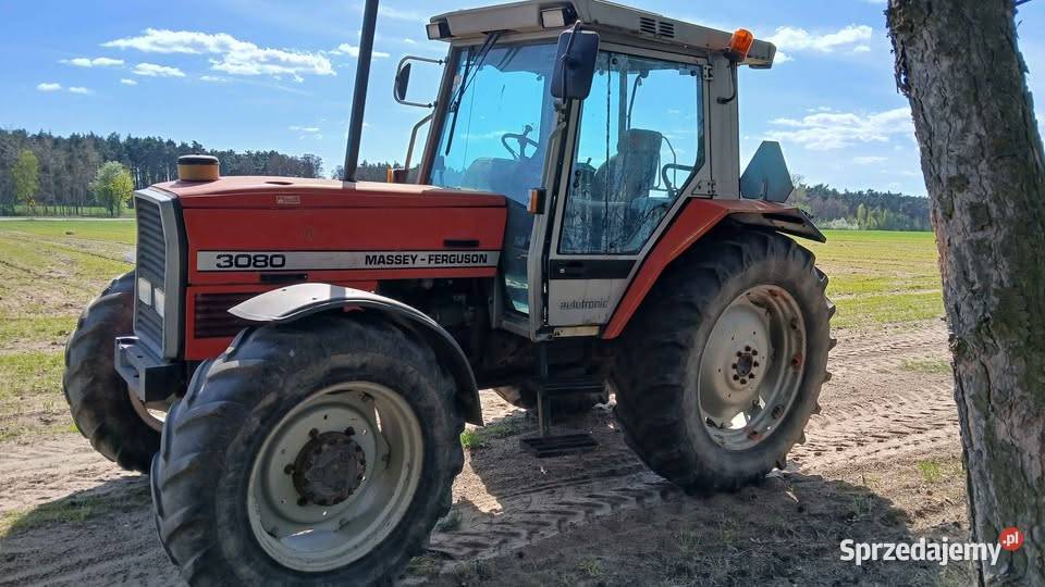 Massey ferguson 3080 sprzedam