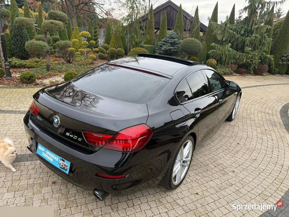 BMW Seria 6 640d xDrive 313 2015r Możliwa
