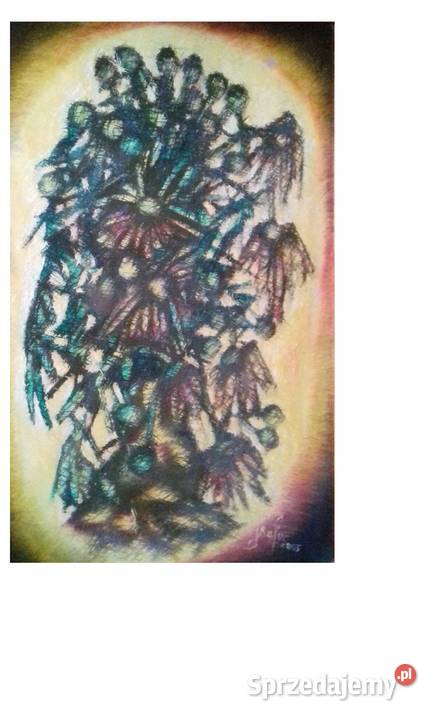 Aluzja Georgiń Lustra Jarosław