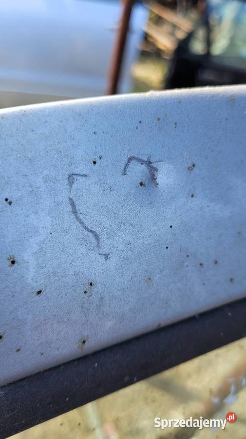 Drzwi Renault Kangoo I osobowe Łagów