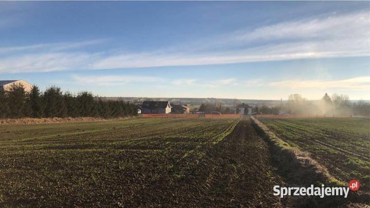 Działki budowlanoinwestycyjne 72ar Wielącza DK 7200m2 Zamość sprzedam