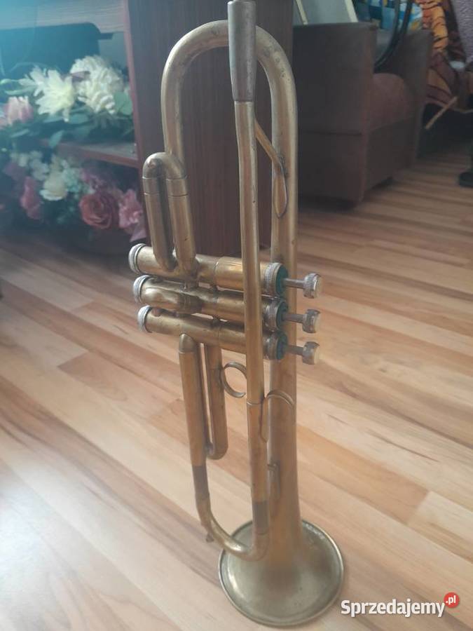 Trąbka Ostrowiec Świętokrzyski