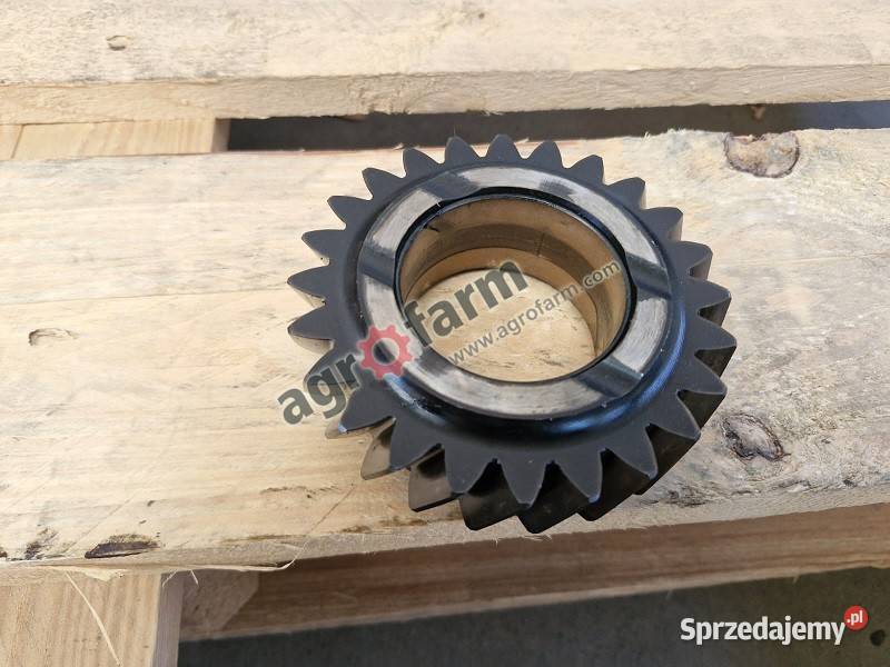 Koło zębate Massey Ferguson 6485 8240 8250 Byków