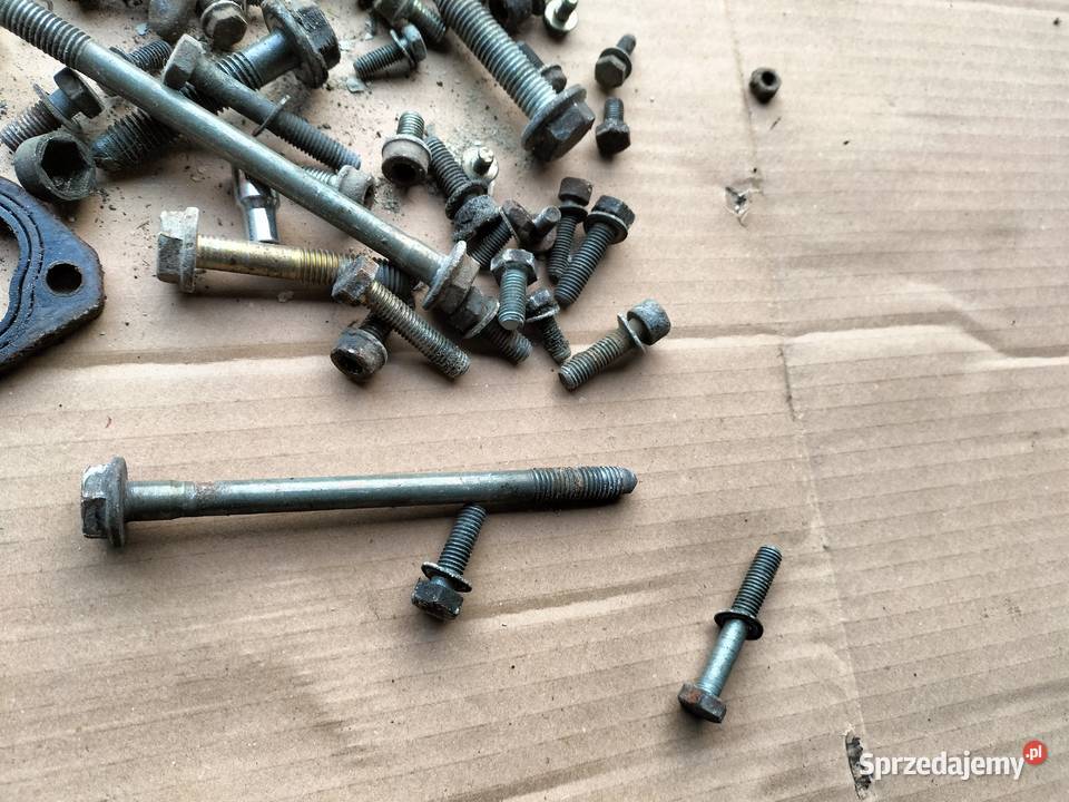VW GOLF 2 JETTA 2 16 18 BENZYNA ŚRUBA ŚRUBKA lubelskie Kamień-Kolonia