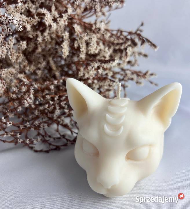 Swieca sojowa magiczny kot kotek handmade Rzeszów