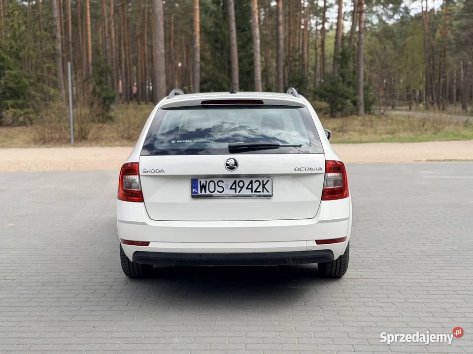 Skoda Octavia 2019r kombi benzyna