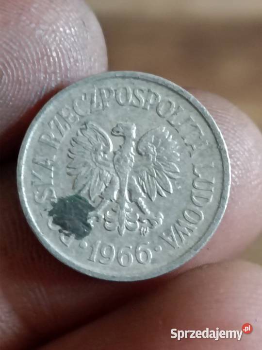 Sprzedam czwarteb10 gr 1966 zzm Chełm sprzedam