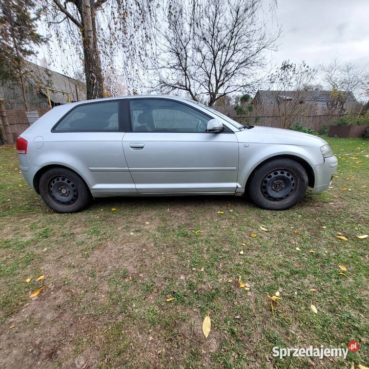 Audi A3 8P 20 TDI 2004 Dalekie