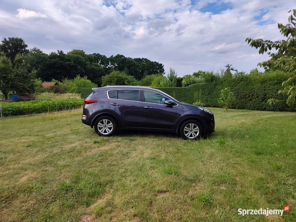 Kia Sportage IV 17 2017 automat 7 biegów bogato Kia Marwice
