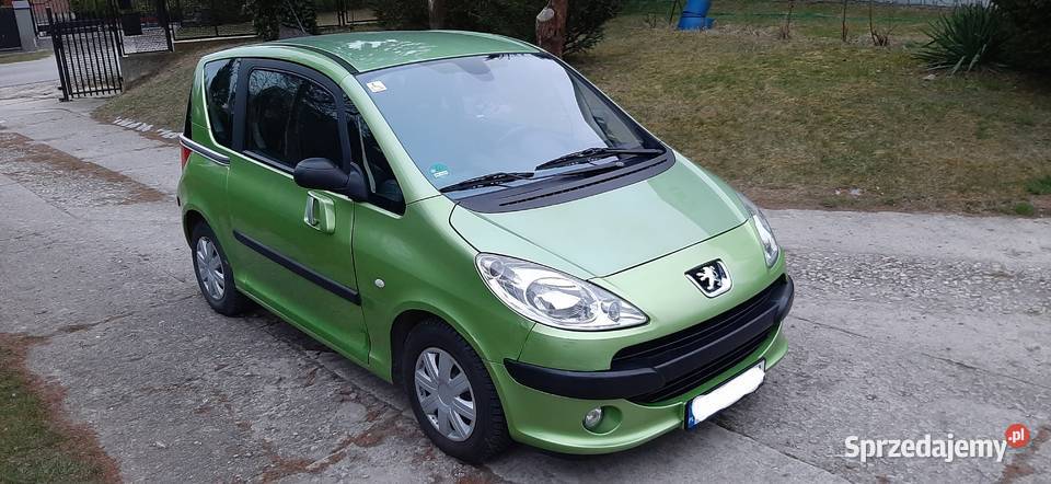 Peugeot 1007 14 8v 75 2005 Doinwestowany Sprawny Zarejestrowany w Polsce lubelskie Nałęczów