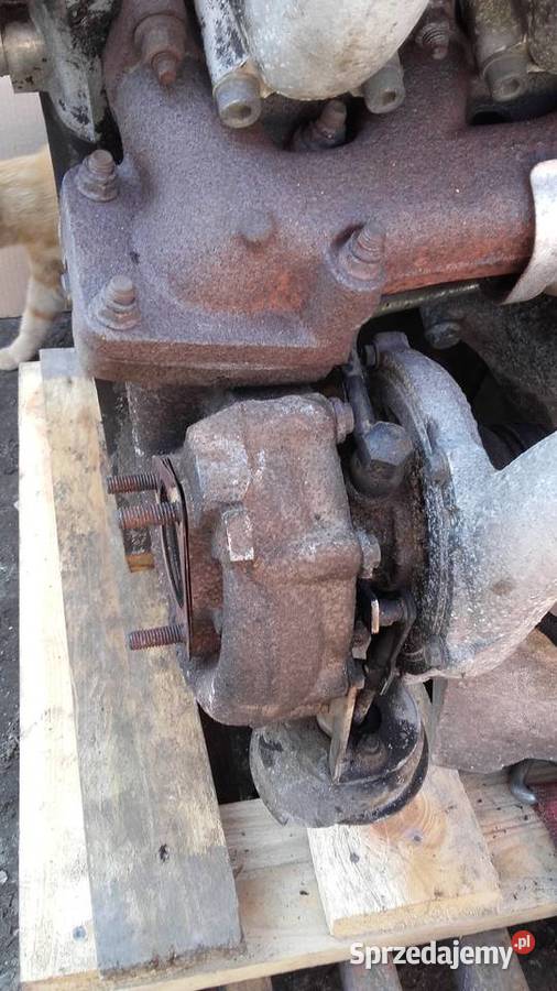 Silnik Vw Lt 25 tdi ANJ 109 kompletny dostawcze kujawsko-pomorskie Gniewkowo