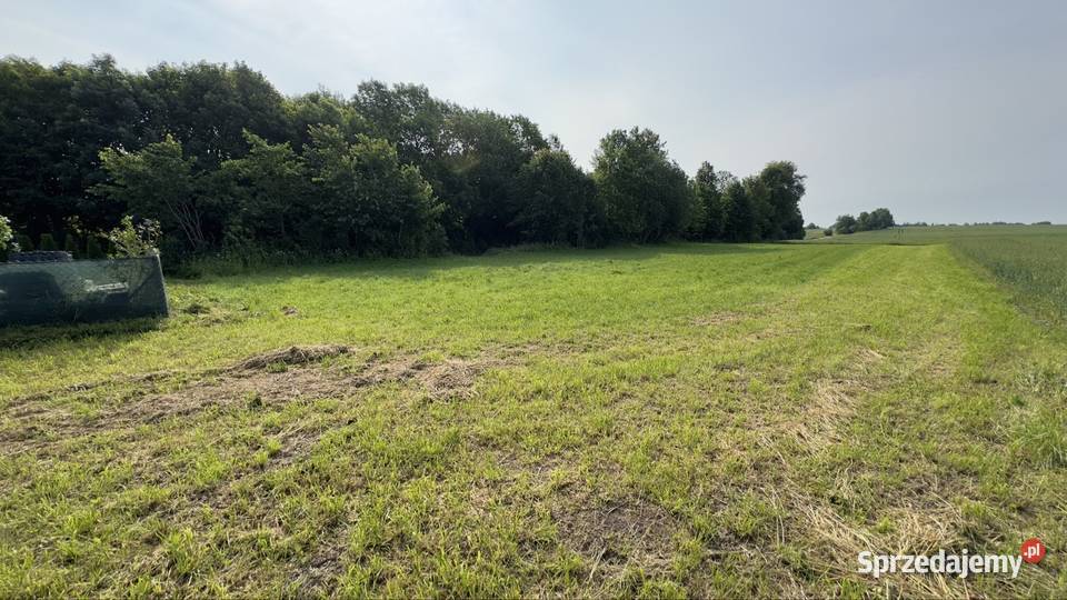 Dwie działki budowlane 4209m22105m2 i 2104m2 utwardzona Tułodziad