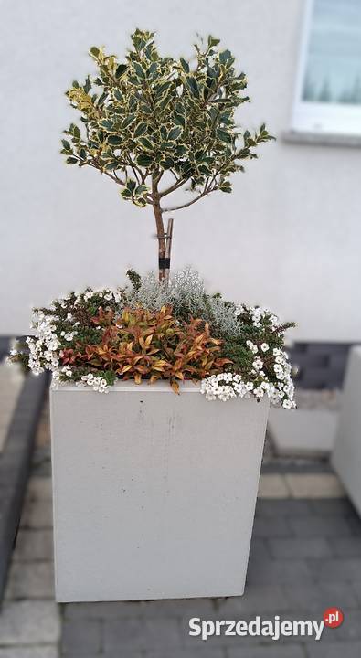 donica doniczki z betonu architektonicznego opolskie Prudnik