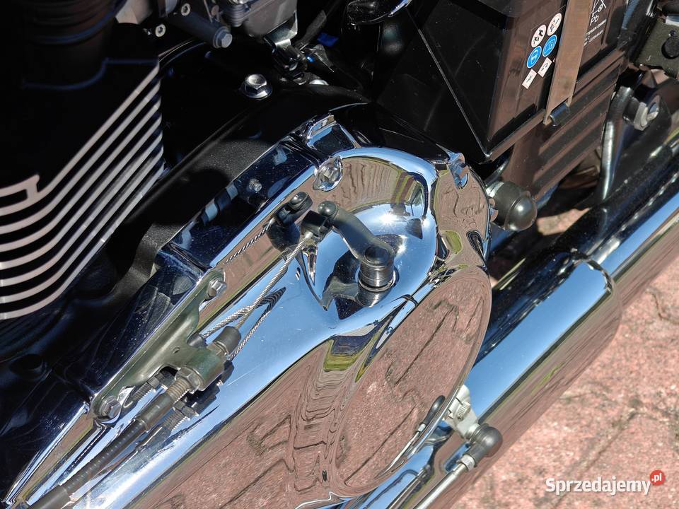 Triumph America