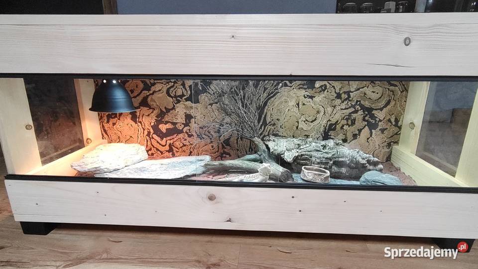 Terrarium drewniane agama brodata gekon wąż Siemianowice Śląskie