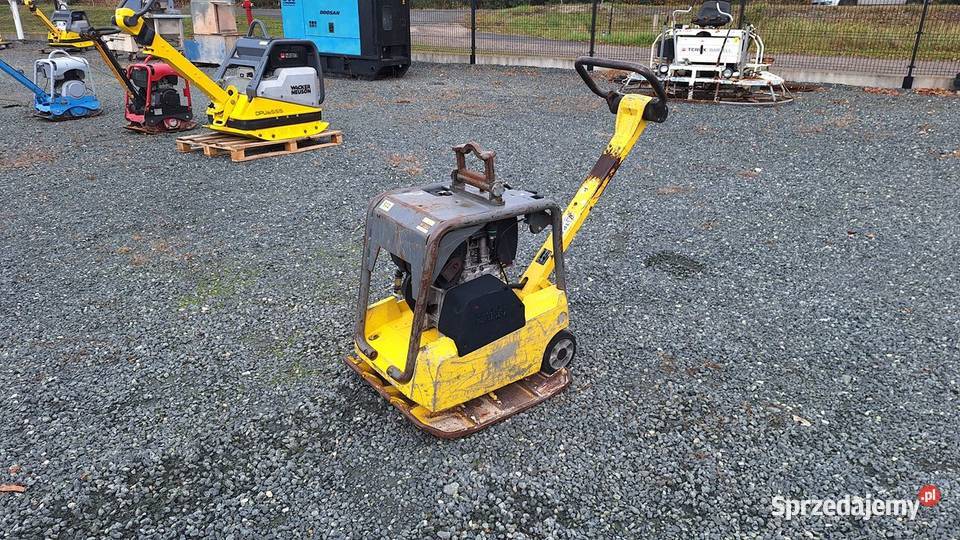 2017 Zagęszczarka Płyta Ubijak WACKER NEUSON DPU Rok produkcji 2017 Trzebnica