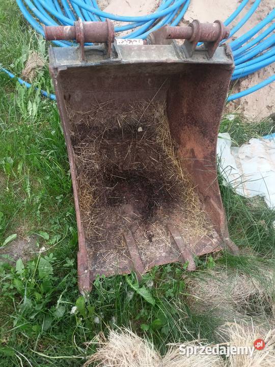 Łyzka podsiębierna Wierzchno