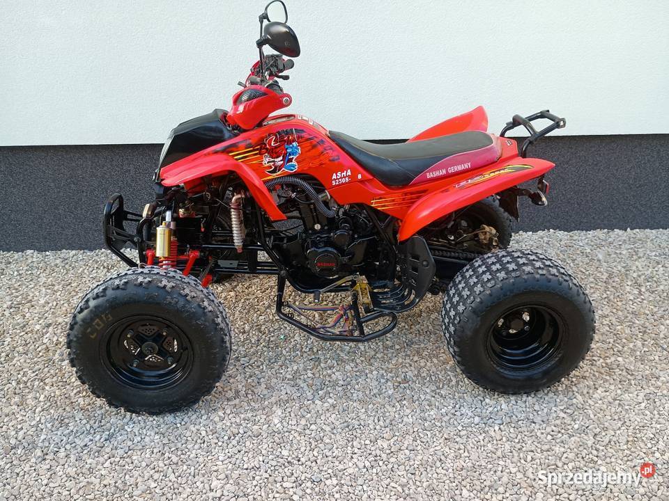 Bashan 250