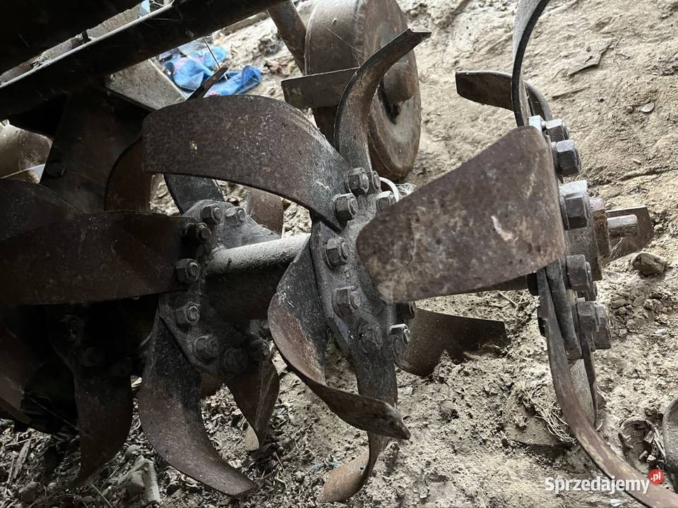 Glebogryzarka nieuszkodzony Złota