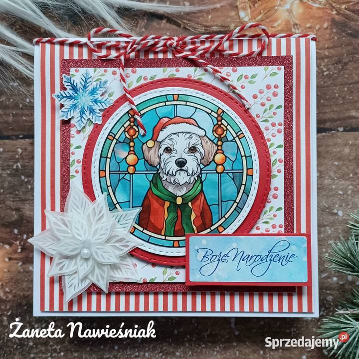 Kartki świąteczne Boże Narodzenie z pupilem psy Mszana Dolna