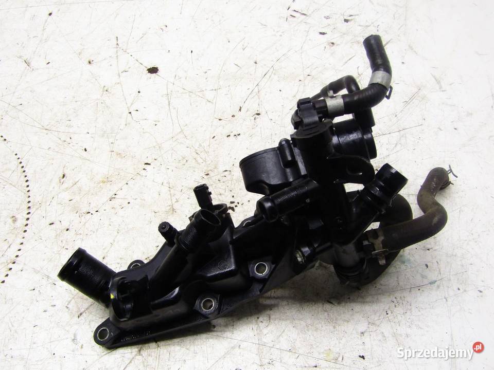 OBUDOWA TERMOSTATU MAGISTRALA WODNA 12DIGT lubelskie