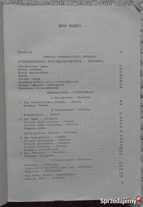 Bezkręgowce Czesław Jura Rok wydania 1983 Białystok