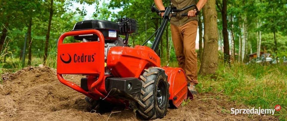 Glebogryzarka z Napędem Cedrus GL03 PRO Loncin wielkopolskie Konin