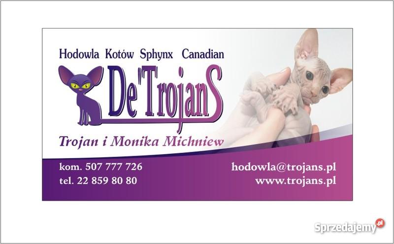 SPHYNX CANADIAN Zapraszamy Do Rezerwacji De Troj Warszawa