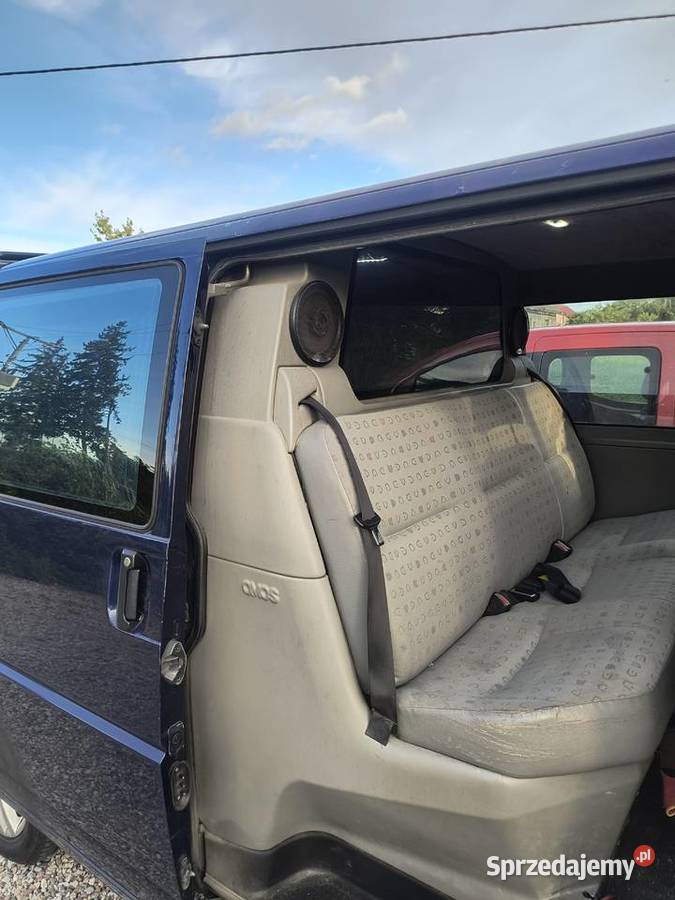 Holenderka vwt4 pomorskie Żukowo