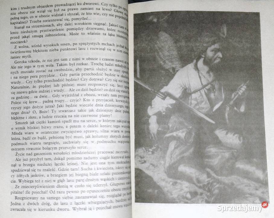 Gloria victis Eliza Orzeszkowa