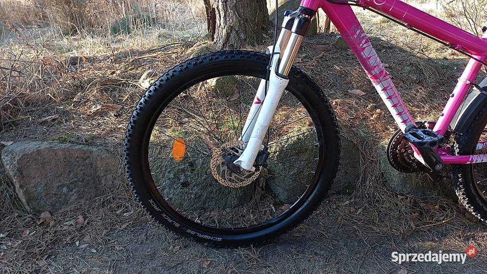 Alu Rower Górski Mtb Młodzieżowy Scott Contessa