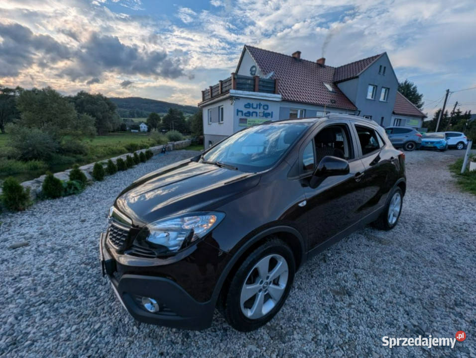 Opel Mokka 16 benzyna I 20122019 komputer pokładowy Kamienna Góra