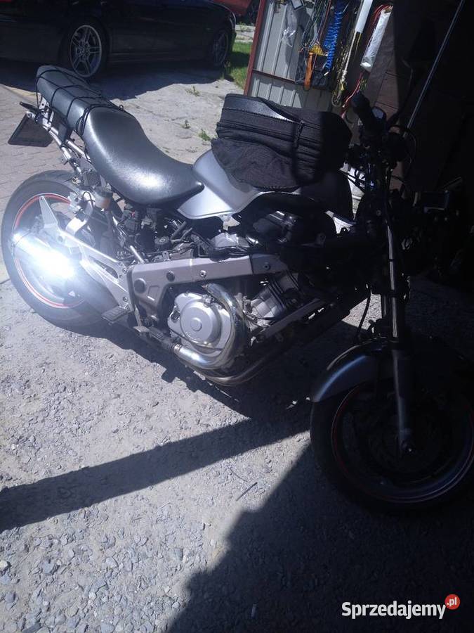 Honda developer 650 Łuków