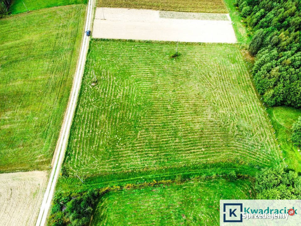 Grunt Huta Gogołowska 6500m2 Sprzedaż sprzedam