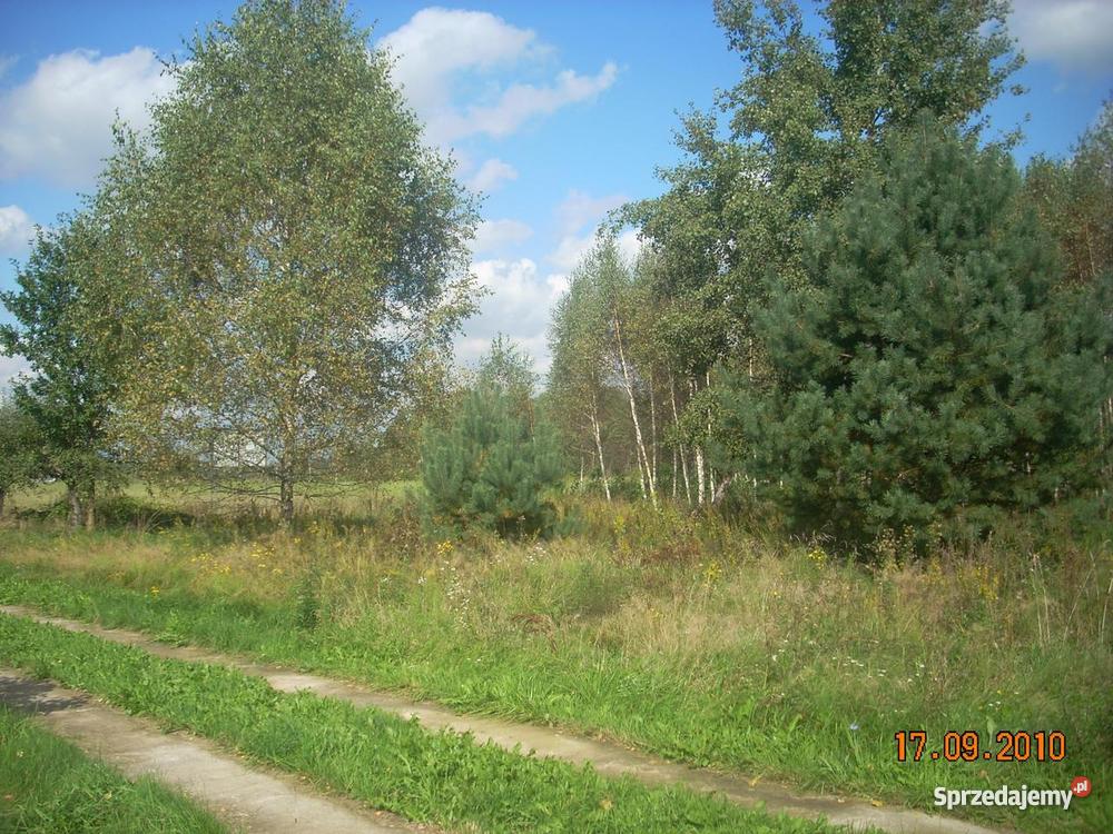 działka mazowieckie Krakowiany