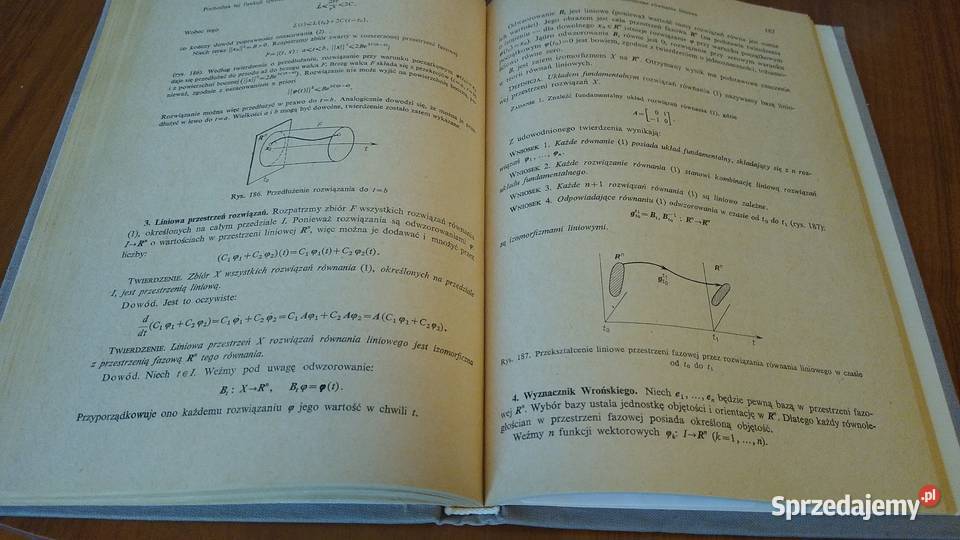 Równania różniczkowe zwyczajne W I Arnold Gdańsk