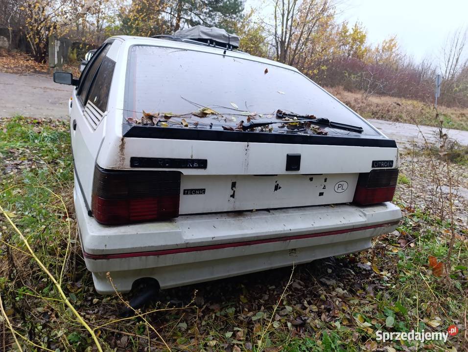 Citroen bx wszystkie części