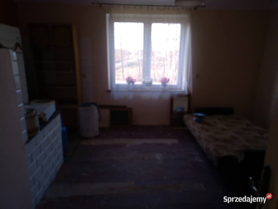 Sprzedam siedlisko 63 ary szczuczki gm sprzedam