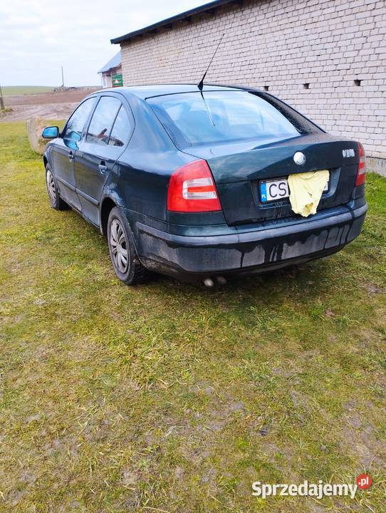 Skoda Octavia 2 19 tdi 105 klima kujawsko-pomorskie Nowe