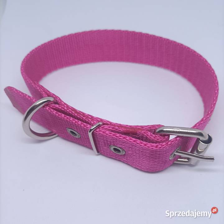 Obroża psa 25mm80 Gorzów Wielkopolski