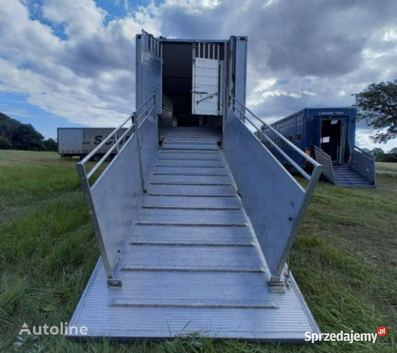 do przewozu zwierząt GrayAdams GADD3 Gray Adams pełny VAT Łaziska Górne