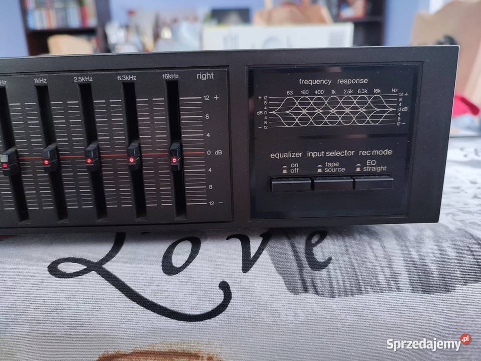 Technics Equalizer SH8028 Myszków