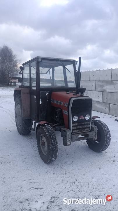 Massey Ferguson 255 MF255 Massey Ferguson Gąsiorowice