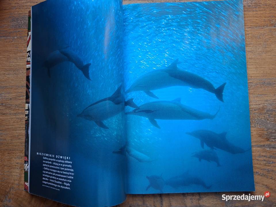 Nationa Geographic 2002 2003 6 numerów Rok wydania 2003 Kraków