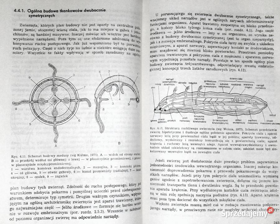 Zoologia Tom 1 Część ogólna B Aleksander Rajski
