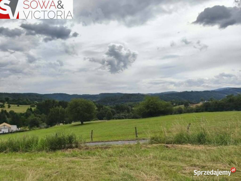 Panoramiczny widok na szczyty gór ok 1 PKP Zagórze Śląskie